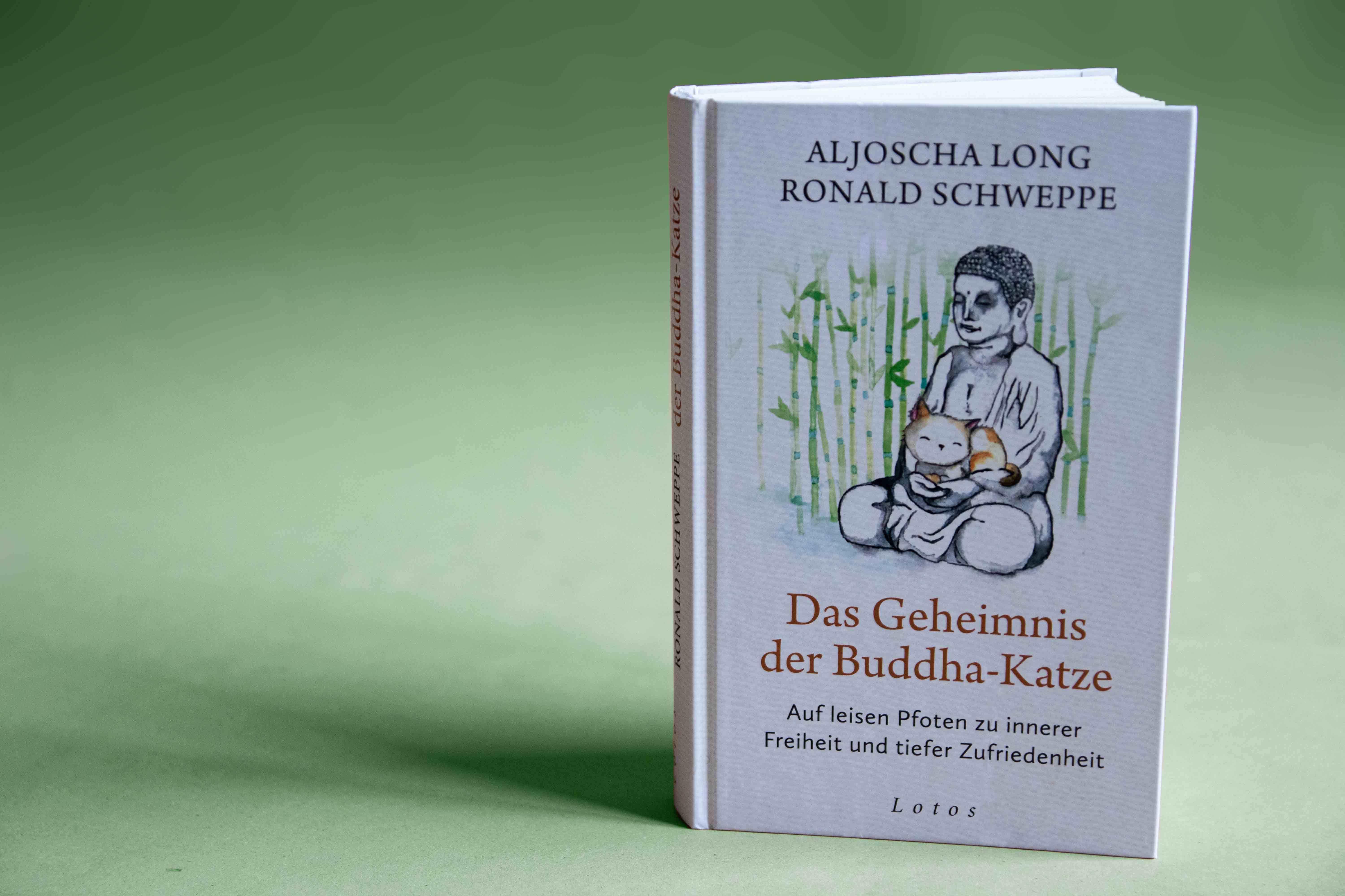 buddha-katze_foto-02